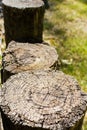 Garden Stumps