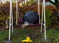 Garden swing with a large umbrella and a bouquet of wild flowers forgotten after the rain,