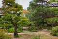 Garden at Takayama Jinya Government mansion.