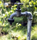 Garden tap Royalty Free Stock Photo