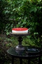 In the garden there is a wooden antique table, on it on a wooden stand the curd cranberry cake, curd cake with cranberries