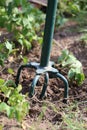 Garden Tiller Royalty Free Stock Photo