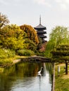 Garden of Toji temple with blue sky, Kyoto, Japan Royalty Free Stock Photo