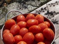 Freshly picked and washed Roma tomatoes in a collander on a wooden bench in the summer. sunshine Royalty Free Stock Photo