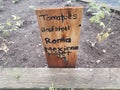 Garden with tomatoes, beefsteak, roma, and Mexican midget and sign