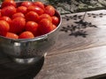 Freshly picked and washed tomatoes in a colander in the sunshine Royalty Free Stock Photo