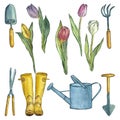 Garden tool kit and tulips. Watercolor illustration. Spring set Royalty Free Stock Photo