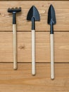 Garden tool set of three items with wooden handles on a wooden background. Royalty Free Stock Photo