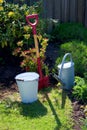 Garden tool shovel old zinc watering can bucket bag in garden with flowers and grass. Concept of gardening. Royalty Free Stock Photo