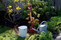 Garden tool shovel old zinc watering can bucket bag in garden with flowers and grass. Concept of gardening. Royalty Free Stock Photo