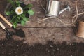 Garden tool, shovel, rake, watering can, bucket, tablets for plants, flower daisy in a flowerpot on a wooden old brown table with Royalty Free Stock Photo