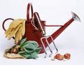 Garden tools Royalty Free Stock Photo