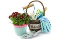 Garden tools in a basket and chrysanths Royalty Free Stock Photo