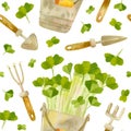 Garden tools and Cute bucket with seedlings of radish. Bright spring crops.
