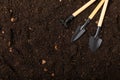 Gardening concept. Top view. Royalty Free Stock Photo