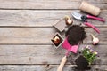 Garden tools with flower bulbs Royalty Free Stock Photo