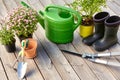 Garden tools, flower seedlings and rubber boots
