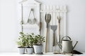 Garden tools and flower seedlings on a white wooden background, Generative AI 3