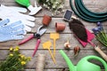 Garden tools with flowers Royalty Free Stock Photo
