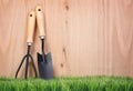 Garden tools and fork on green grass with wood Royalty Free Stock Photo