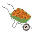 Garden tools garden wheelbarrow. A necessary thing in the household. Cleaning the area. Collected autumn leaves. For