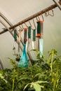 Garden Tools For Gardening In Greenhouse
