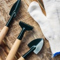 Garden tools - gloves, rakes and blades Royalty Free Stock Photo