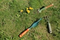 Garden tools for manual weed removal on lawn.