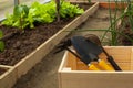 Garden tools paw, rake, chopper in a wooden box in a greenhouse. concept of vegetable garden, agriculture. Copy space Royalty Free Stock Photo