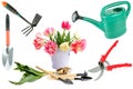 Garden tools for planting and growing tulips isolated on a white background. Collage Royalty Free Stock Photo
