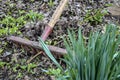 Garden tools. Raking fall leaves with rake.