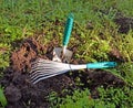 Garden tools shovel and rake Royalty Free Stock Photo