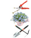 Garden tools, shovels, watering can and rake isolated on white . Free space for text. Collage. Vertical photo