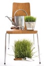 Garden tools, watering can on wood chair