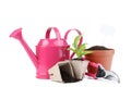 Garden tools with green plant Royalty Free Stock Photo
