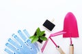 Garden tools with young green plant Royalty Free Stock Photo