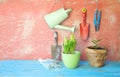 garden tools, young plants,gardening in the springtime, panoramic format Royalty Free Stock Photo