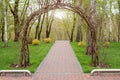 Garden with topiary landscape and arch. Landscaping in the park