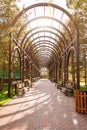 Garden with topiary landscape and arch. Landscaping in the park