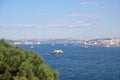 Garden in Topkapi Palace. Historical, istanbul Bosphorus Royalty Free Stock Photo