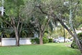 Garden trees and building