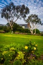 Garden and trees at Crescent Bay Point Park, in Laguna Beach Royalty Free Stock Photo