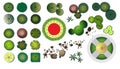 Garden trees design icons