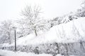 Garden with trees enclosed by a wire fence and covered with snow during the winter season. Royalty Free Stock Photo