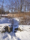 Garden with trees in winter Royalty Free Stock Photo