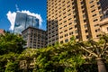 Garden trellis and buildings seen at Norman B. Leventhal Park in Royalty Free Stock Photo