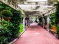 Garden trellis over a path and buildings at Norman B. Leventhal Royalty Free Stock Photo