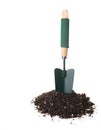 Garden Trowel Tool Standing Upright Royalty Free Stock Photo