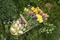 Garden trug fÃÂ¼ll of Easter eggs and Tulips