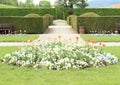 Garden with tulips and pansies Royalty Free Stock Photo